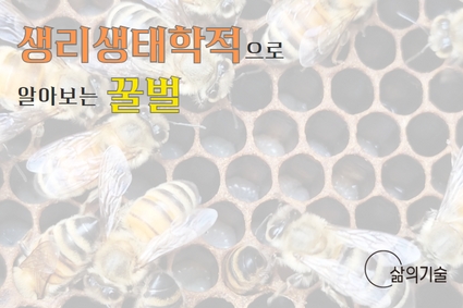 [도시양봉 특강1]생리생태학적으로 알아보는 꿀벌